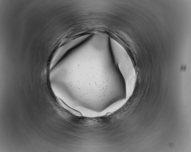X0000100380405200807031930