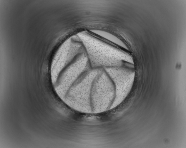 X0000100380407200807031930