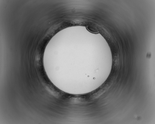 X0000100380408200807031930