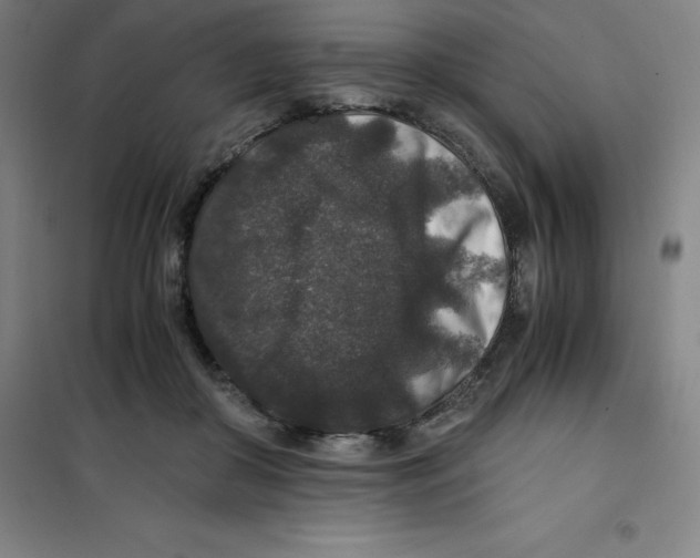 X0000100380410200807031930