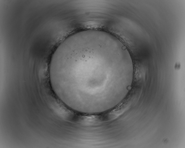 X0000100380411200807031930