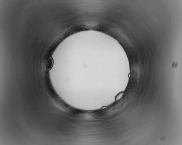 X0000100380412200807031930