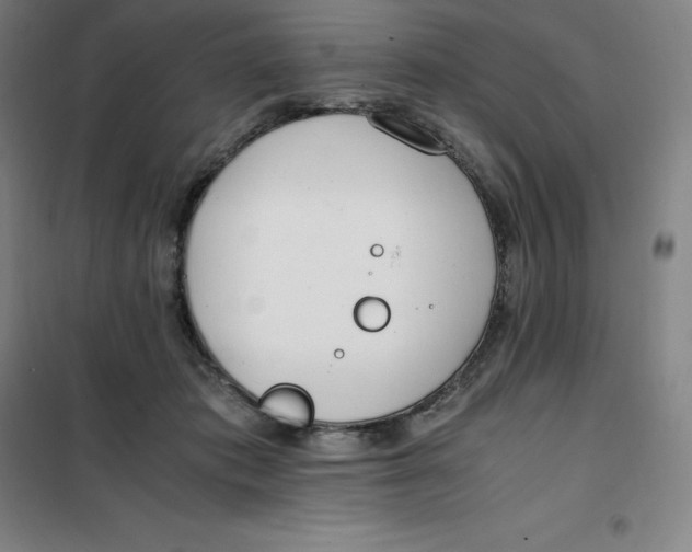 X0000100380413200807031930