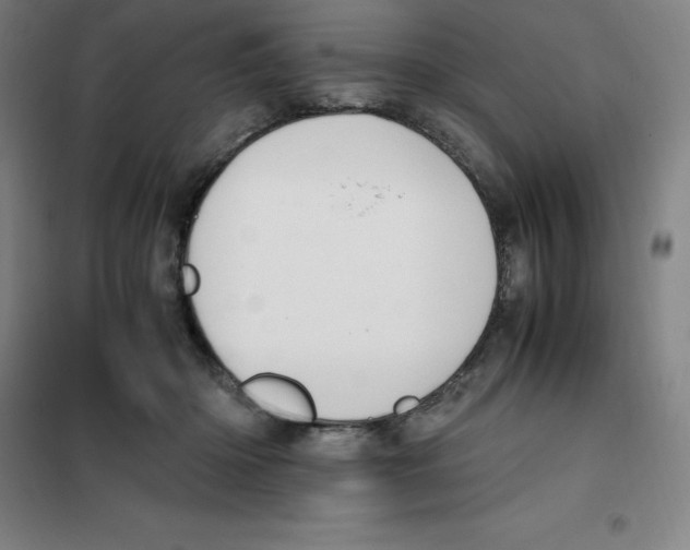 X0000100380414200807031930