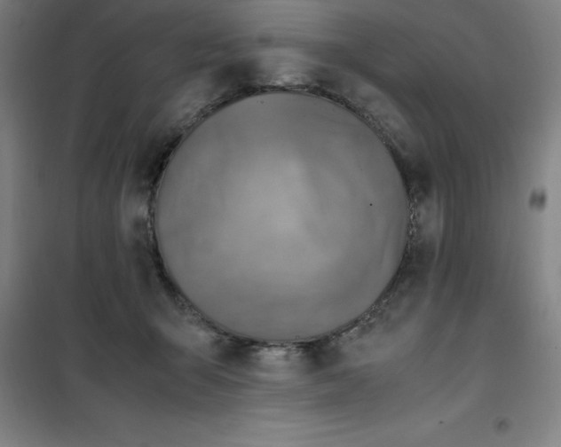 X0000100380415200807031930