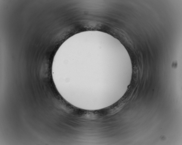 X0000100380416200807031930