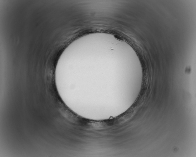 X0000100380417200807031930