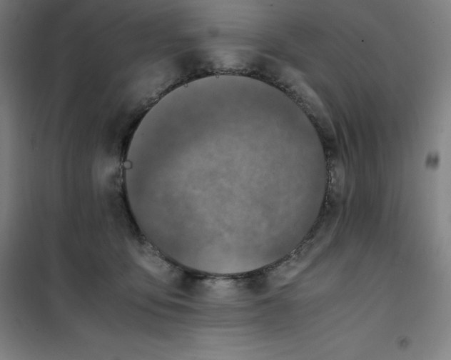 X0000100380419200807031930