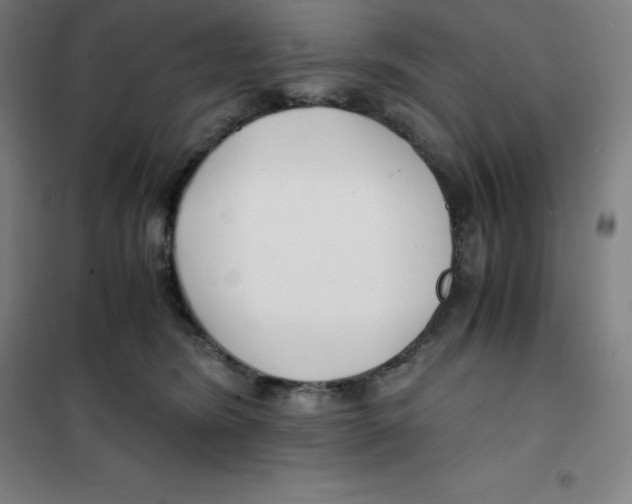 X0000100380420200807031930