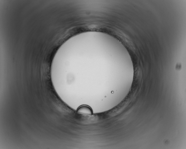 X0000100380421200807031930