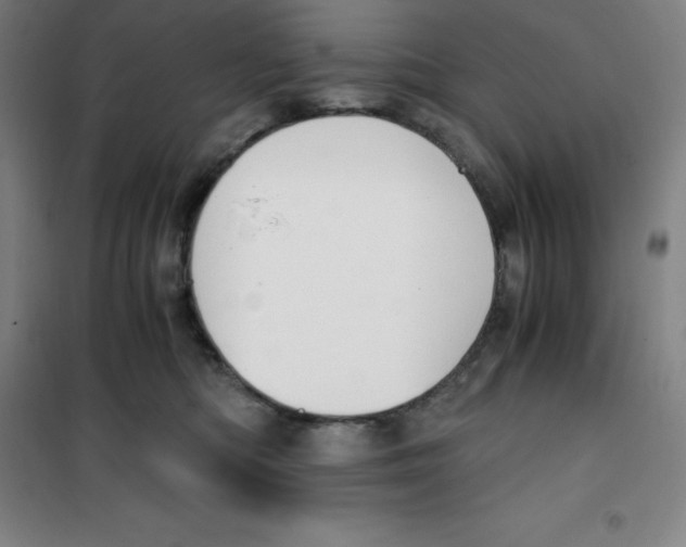 X0000100380422200807031930