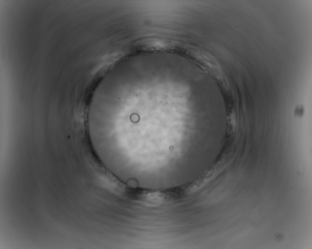X0000100380423200807031930