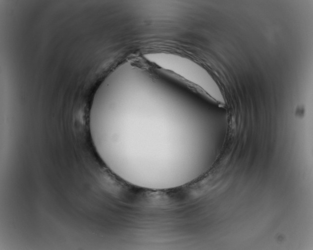 X0000100380424200807031930