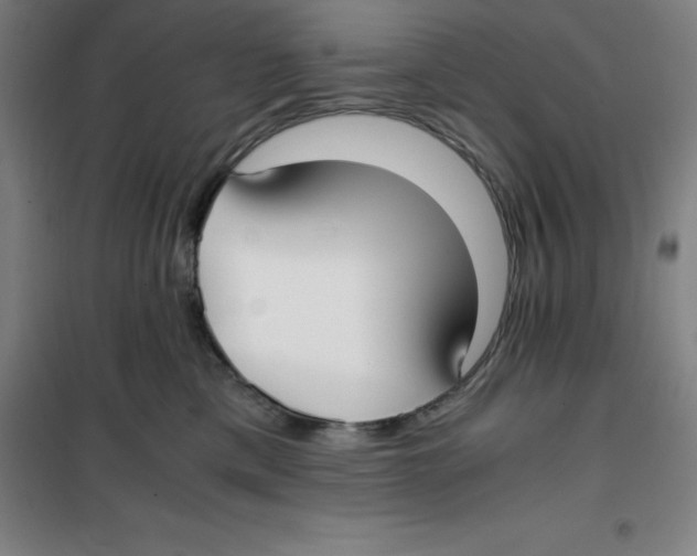 X0000100380425200807031930