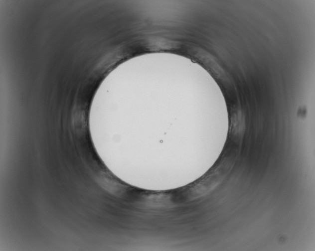 X0000100380426200807031930