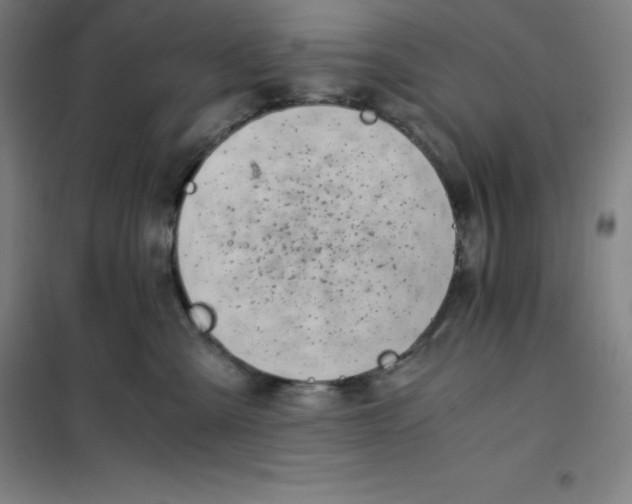 X0000100380427200807031930