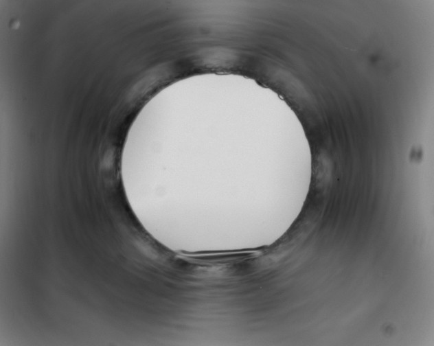 X0000100380428200807031930