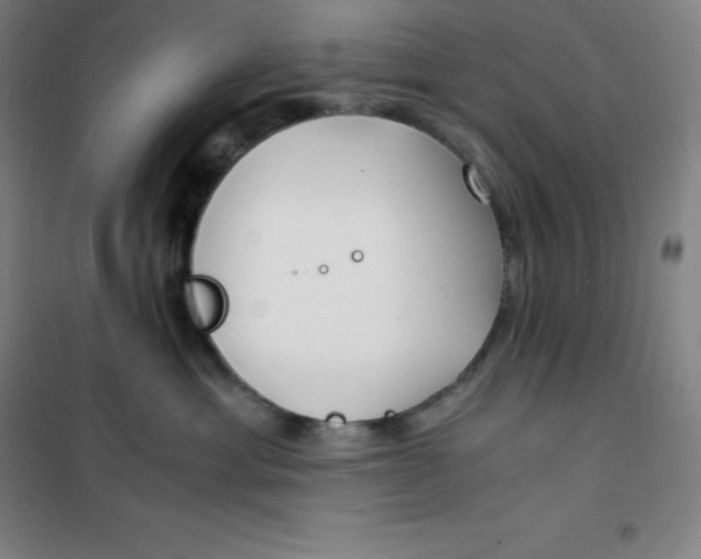 X0000100380429200807031930