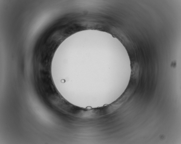 X0000100380430200807031930