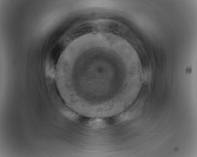 X0000100380431200807031930
