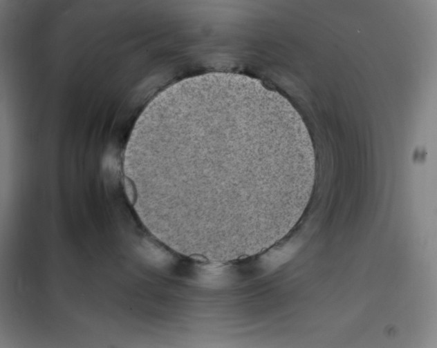 X0000100380432200807031930