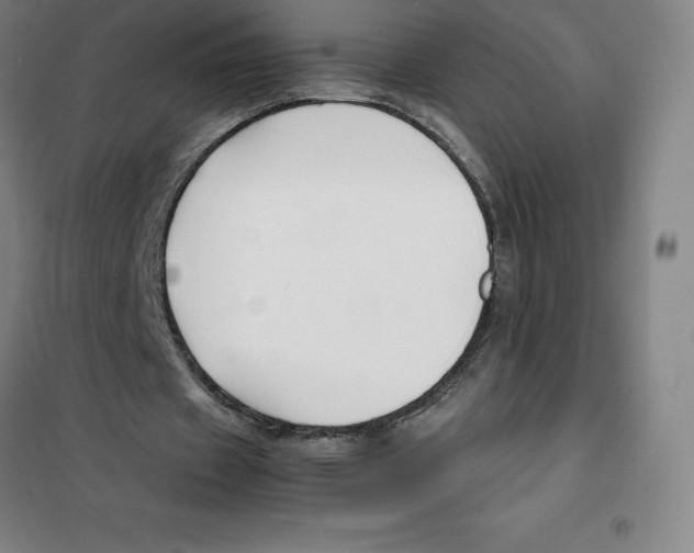 X0000100380433200807031929