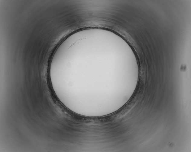 X0000100380434200807031929