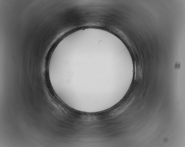 X0000100380435200807031929