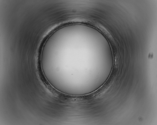X0000100380436200807031929