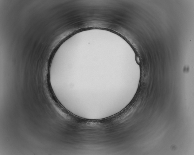 X0000100380437200807031929