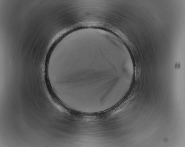 X0000100380438200807031929