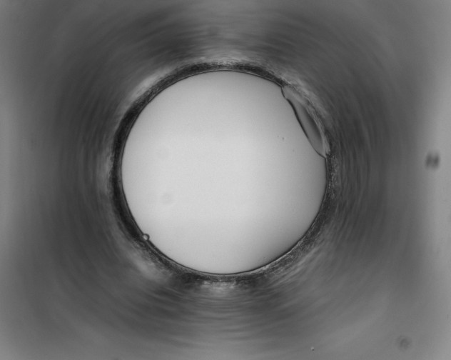 X0000100380440200807031929
