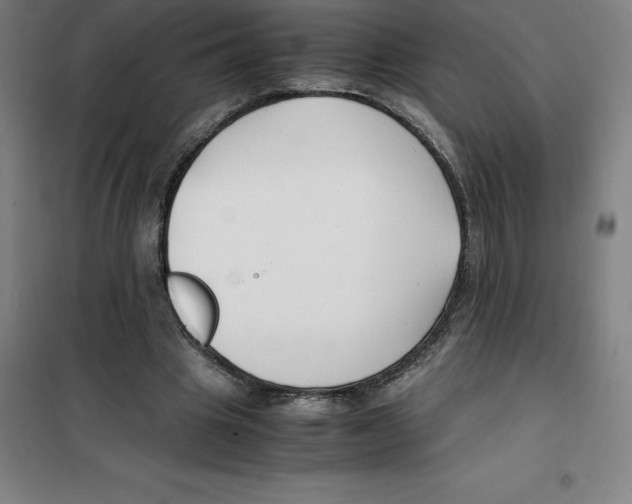 X0000100380441200807031929