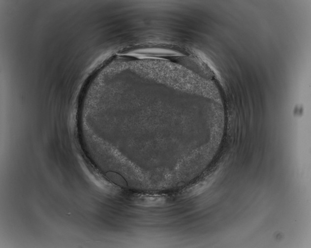 X0000100380443200807031929