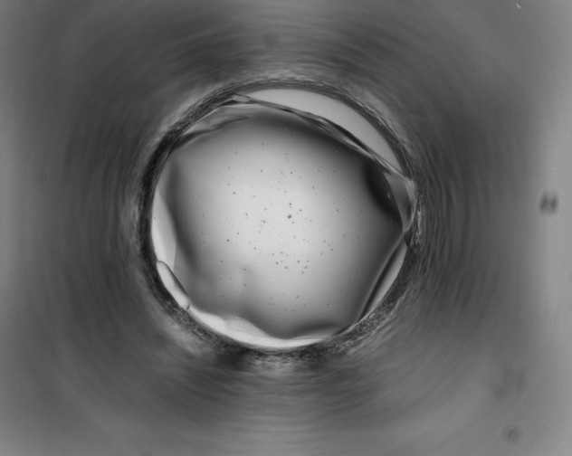 X0000100380444200807031929