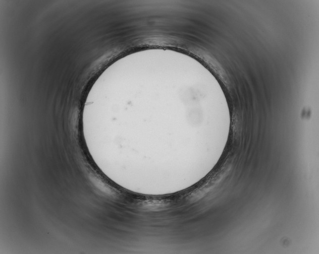 X0000100380445200807031929
