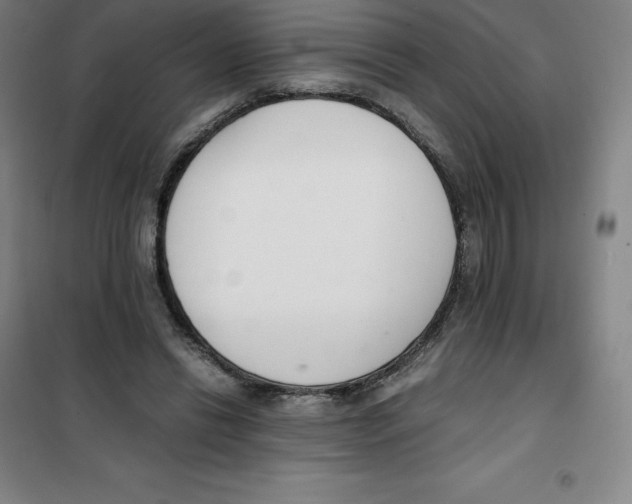 X0000100380446200807031929