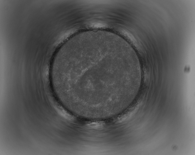 X0000100380447200807031929