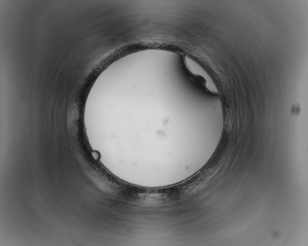 X0000100380448200807031929