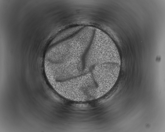 X0000100380449200807031929