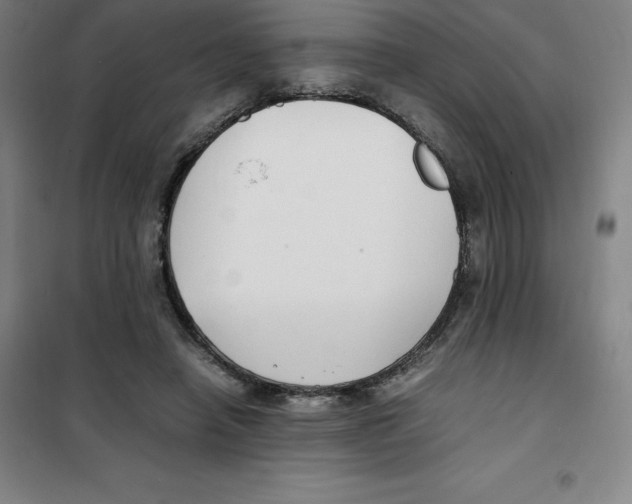 X0000100380450200807031929