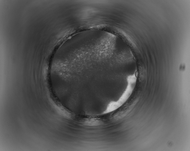 X0000100380451200807031929