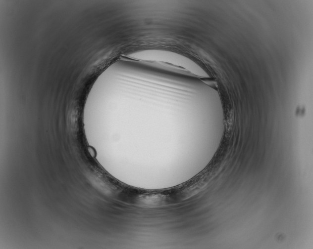 X0000100380452200807031929