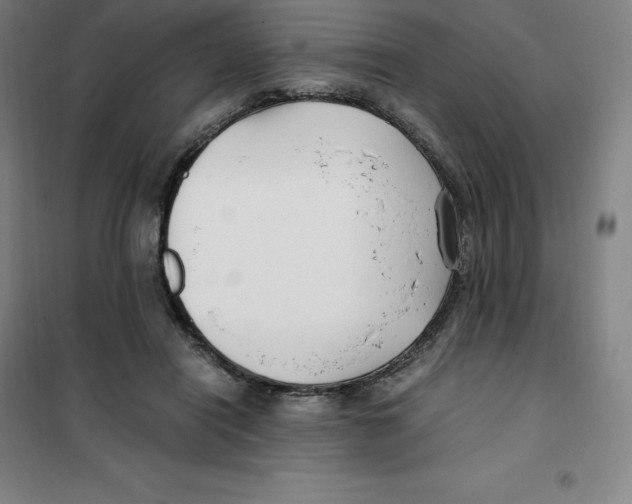 X0000100380454200807031929