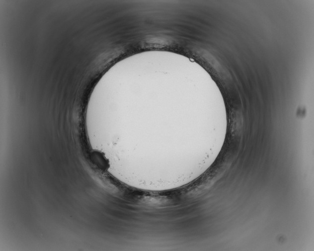 X0000100380455200807031929