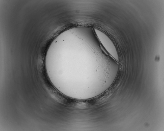 X0000100380456200807031929