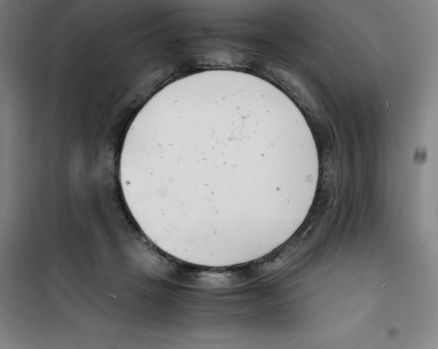 X0000100380457200807031929