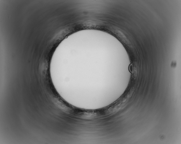 X0000100380458200807031929