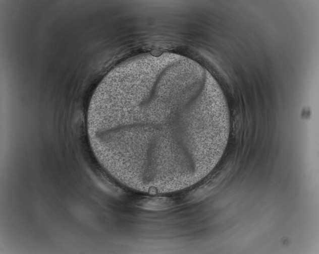 X0000100380459200807031929