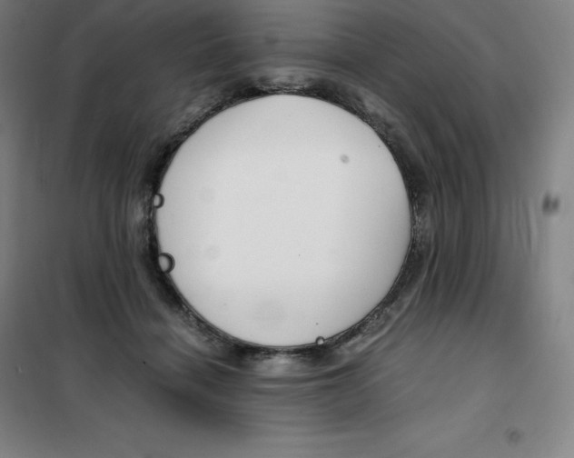 X0000100380460200807031929